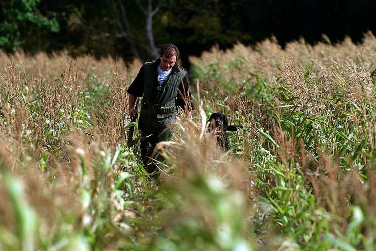 Outre la période de chasse définie par arrêté préfectoral, des dérogations sont précisées.