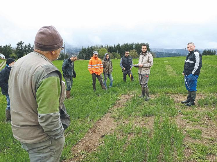 Visite d'essais céréales en montagne à Celles-sur-Durolle (63)