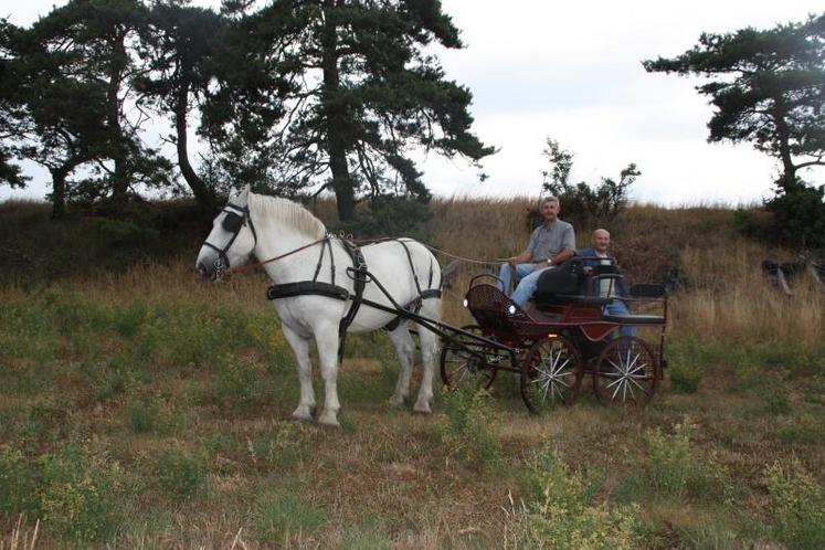 Le président Léon Richaud et le président fondateur Gérard Queyrat avec le Percheron Indien tirant une voiture «Marathon».