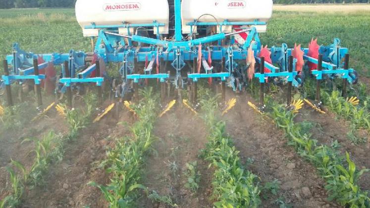 Le 15 novembre, les résultats des essais desherbage mécanique ont été présentés aux agriculteurs.
