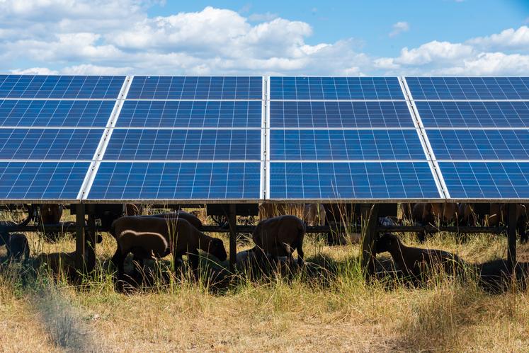 La position de la profession agricole du département en matière de développement photovoltaïque a été dévoilée lors de la dernière session Chambre d'agriculture.