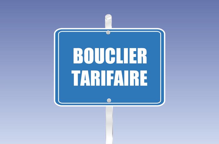 Le Gouvernement a mis en place différents dispositifs d’aide dont le bouclier tarifaire pour les compteurs électriques d’une puissance inférieure à 36 kVA.