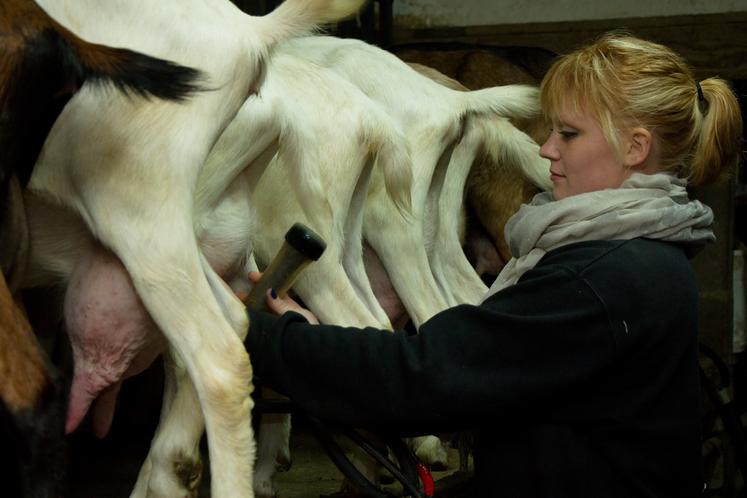 La Quinzaine de la transmissoon approche