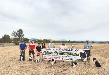 L'Association Chien de Troupeau 43 présente son événement estival : la finale nationale de chiens de troupeaux sur bovins le 14 août à Chaspuzac.