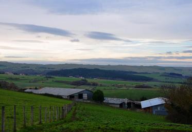 La ferme Auvergne devrait poursuivre son élan de modernisation grâce au plan de compétitivité et d’adaptation des exploitations agricoles.
