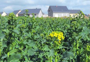 En France, environ 90 000 ha de surfaces agricoles disparaissent actuellement chaque année.