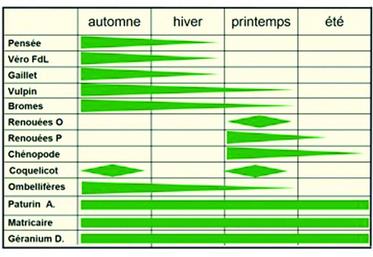 Périodes de levées préférentielles des adventices