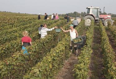 En 2014, c’est la viticulture qui tire son épingle du jeu.