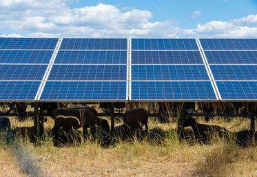 La position de la profession agricole du département en matière de développement photovoltaïque a été  dévoilée lors de la dernière session Chambre d'agriculture.