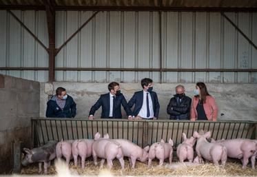 Emmanuel Macron en visite dans une élevage de porcs de Côte d'Or