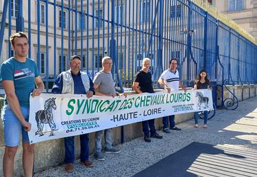 Des éleveurs de chevaux lourds ont rencontré le Préfet de Haute-Loire pour qu'il fasse remonter leurs  revendications auprès du Ministère.