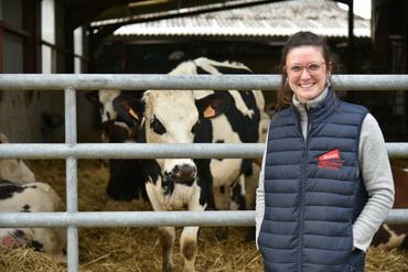 Anne-Aël Leroy possède 26 vaches et trois veaux. 