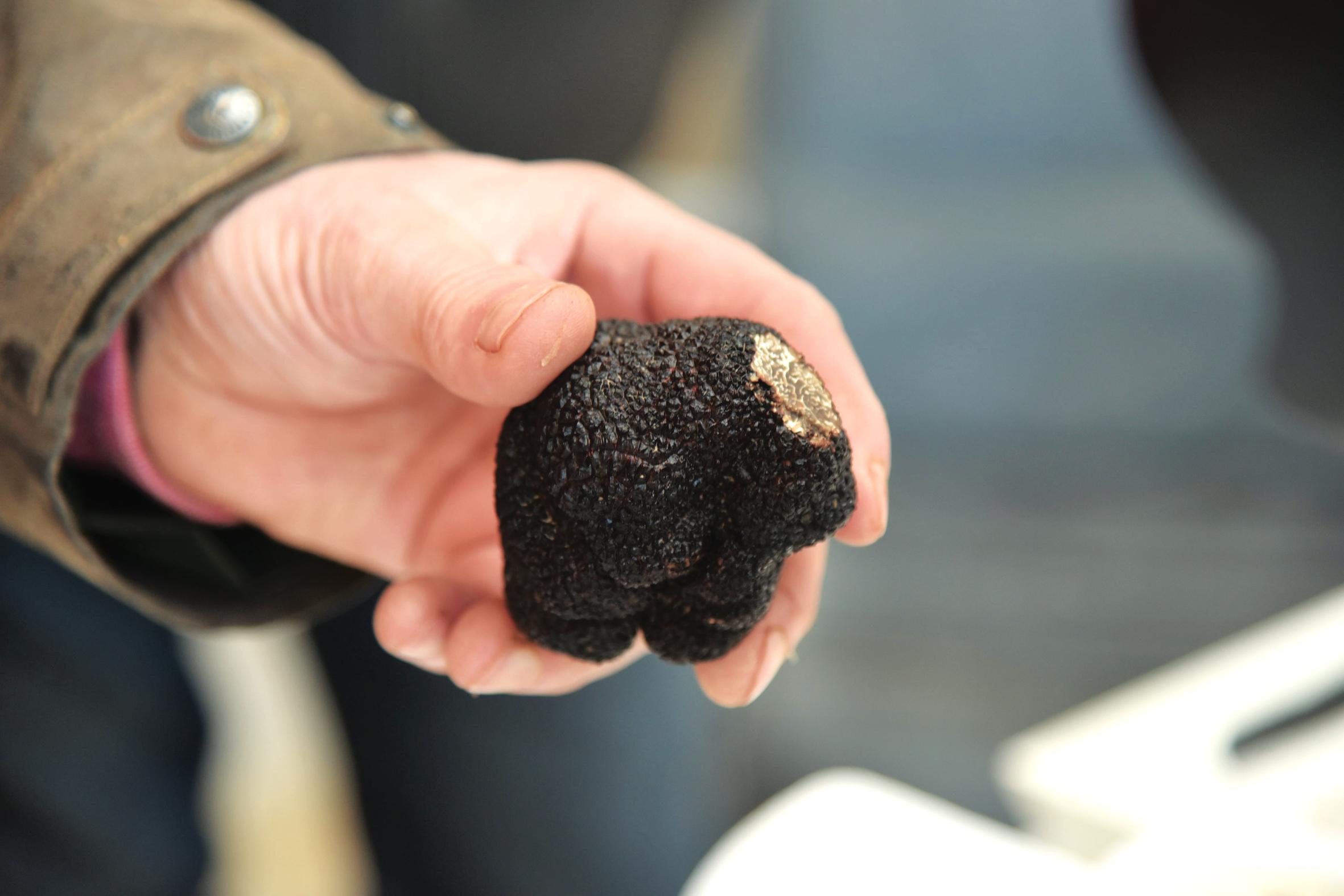 Truffes