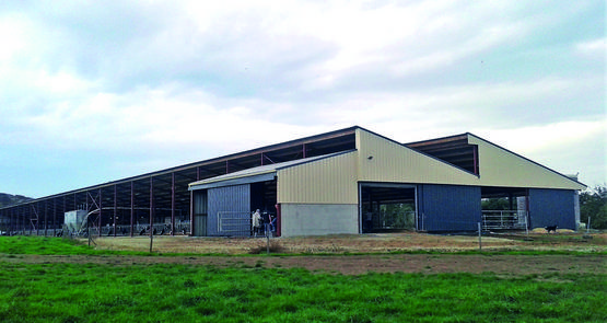 La suppression des murs en béton permet de réduire significativement le prix, et peut aussi réduire le risque de surchauffe du bâtiment lors des canicules. 