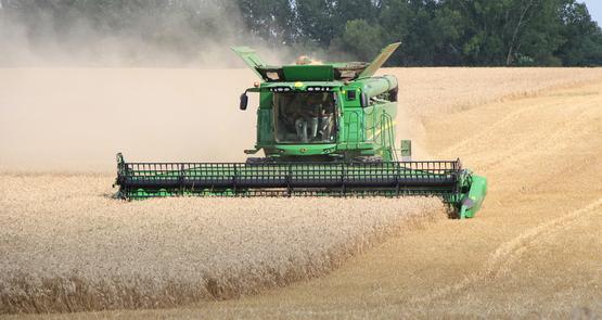 Avant d’investir en copropriété, il est utile de s’accorder sur des règles de fonctionnement en précisant par exemple dans quel ordre les parcelles seront fauchées.