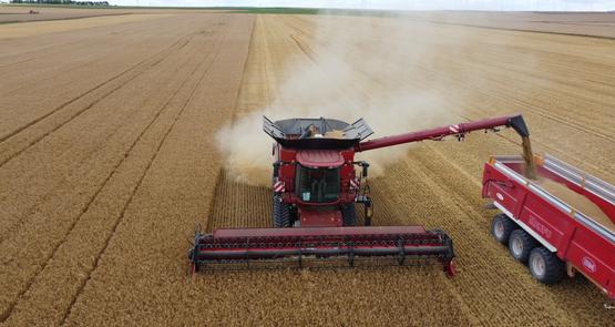 Une révision annuelle et un entretien quotidien de la machine durant la moisson limitent les dangers et rendent possible l’exploitation des capacités maximales de la machine.