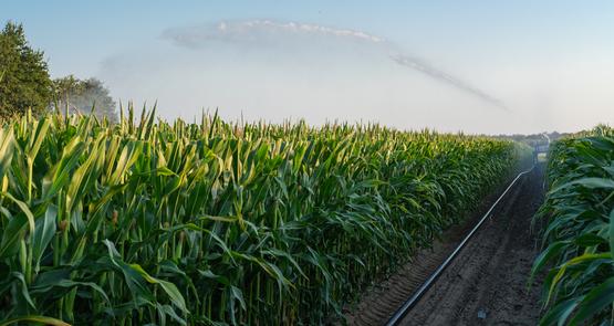 Augmenter le diamètre des tuyaux polyéthylène des enrouleurs permet de réduire la dépense énergétique en limitant les pertes de pression.