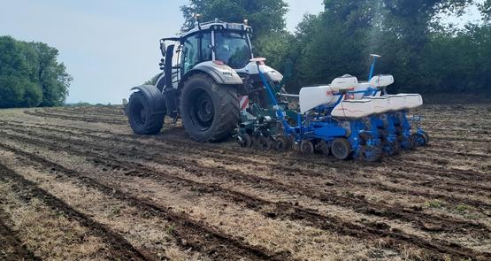 Le passage du strip-till en combinaison avec un semoir monograine demande d'intervenir sur un sol bien ressuyé.