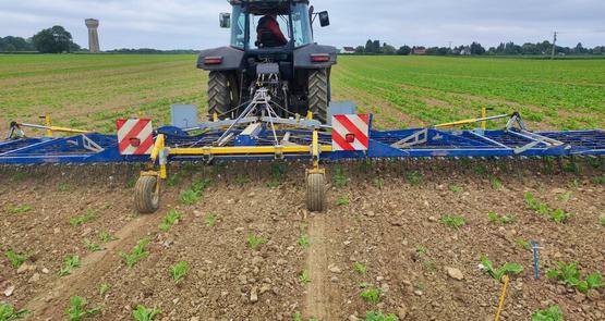 Qualité du lit de semences et homogénéité sont cruciales pour intervenir au bon moment.