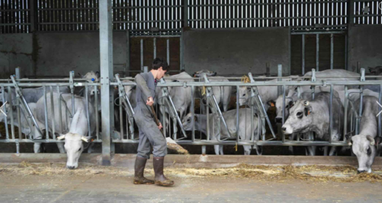 Parcoursup, la plateforme de préinscription en première année de l'enseignement supérieur, a ouvert le 19 janvier. Les candidats ont jusqu'au 12 mars pour formuler leurs vœux.