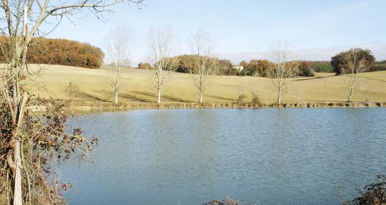 Une bonne gestion de l’eau consiste à stocker et drainer l’hiver pour pouvoir irriguer l’été. De plus, les retenues d’eau attirent faune et flore.