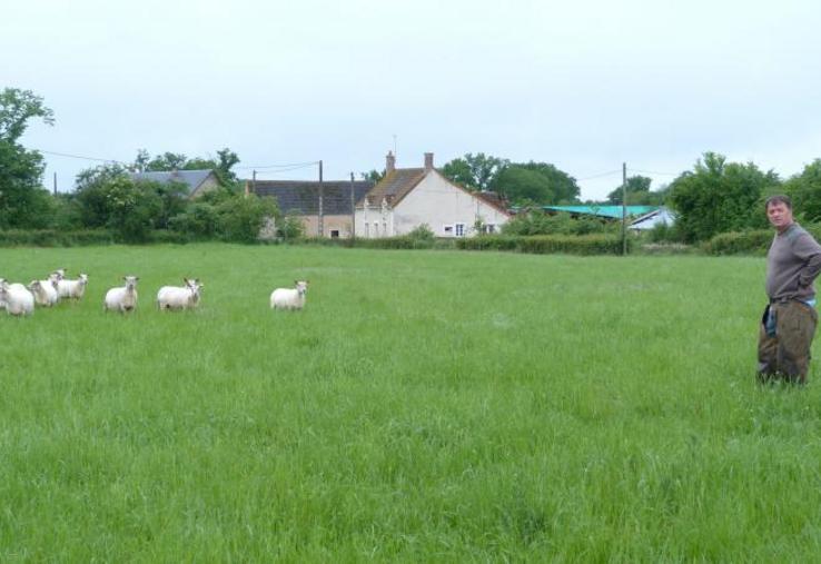 Laurent Malassenet : «les prairies sont implantées sur les zones les plus pauvres en matière organique».