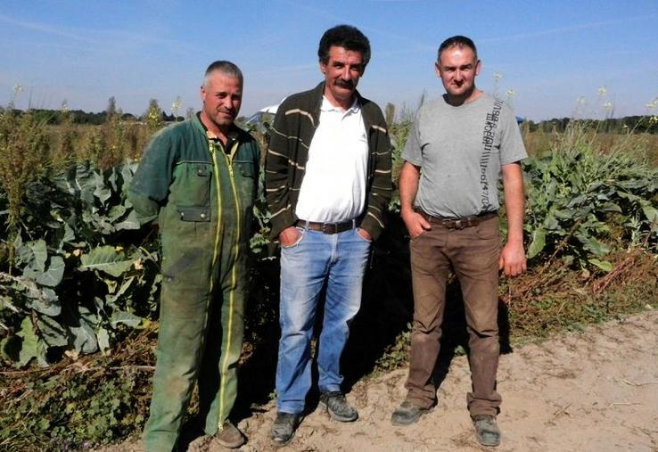 L’an dernier, 350 ha ont été travaillés au déchaumeur à dents. Celui-ci est équipé d’un semoir pour les Cipan, tout comme le déchaumeur à disques.