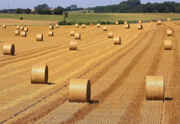 Le syndicat Jeunes Agriculteurs du Loiret a appelé les EPCI à voter en faveur d’un dégrèvement temporaire de la TFPNB pour aider au renouvellement des générations en agriculture.