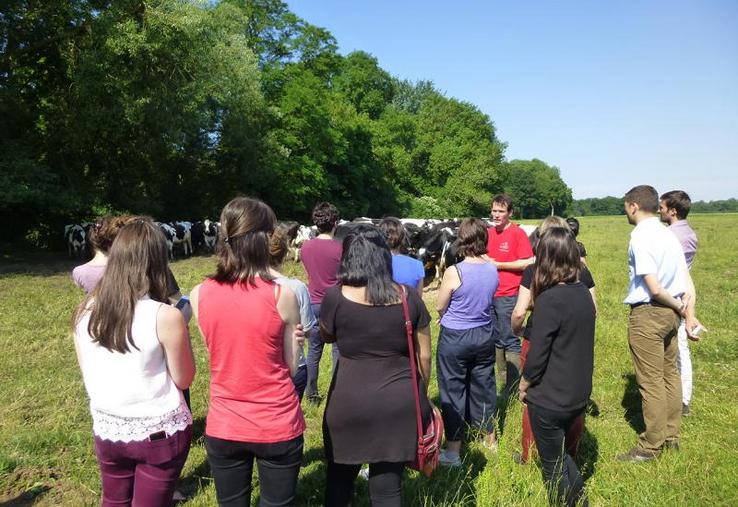 Des collaborateurs de McDonald’s France ont visité une ferme laitière par le biais du syndicat Jeunes Agriculteurs du Loiret.