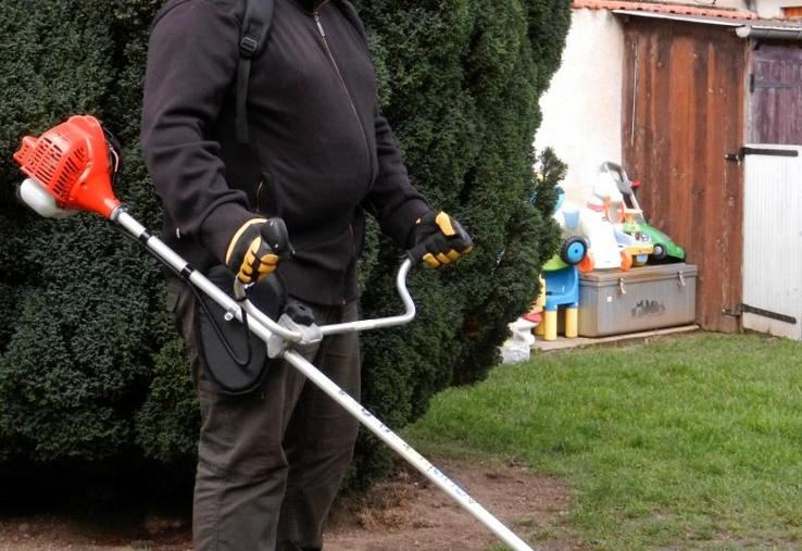 Le taillage de thuyas et de cyprès chez un particulier.