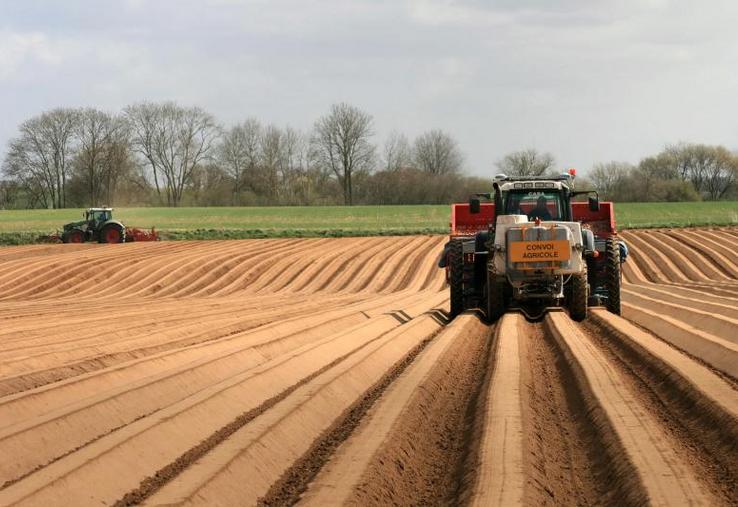 Préparation et plantation de pomme de terre.