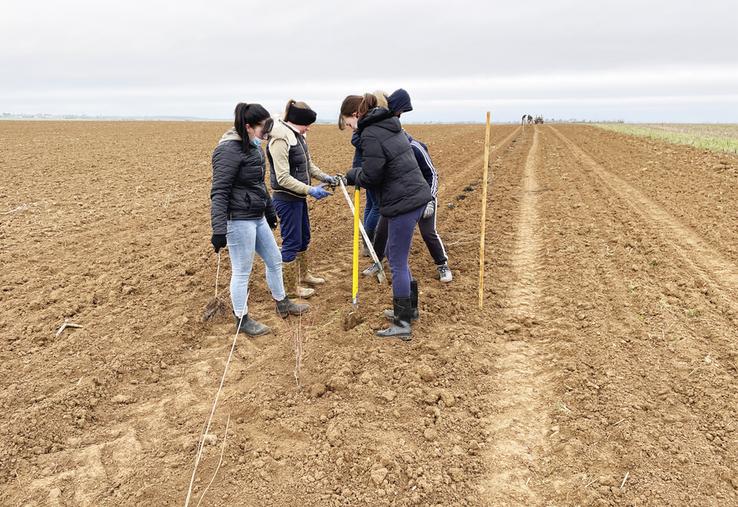 Le 3 février, à Villiers-Saint-Orien. 1	200 mètres de haie ont été plantés entre deux parcelles par des élèves de 1re Stav* du LEAP de Nermont.