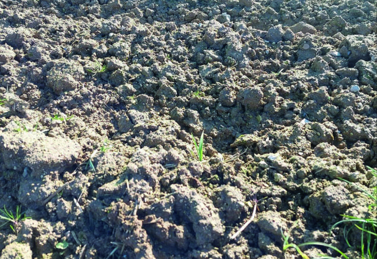 Le maître-mot	: observer son sol et se demander si passer avec un outil est indispensable ou non.