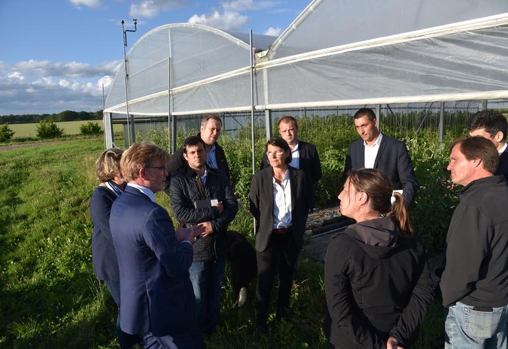 Échanges devant une des serres qui abrite les tomates (variétés anciennes et hybrides sur pieds greffés).