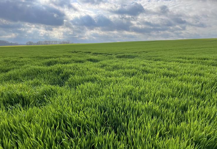 Les opérations qui nécessitent une autorisation d'exploiter sont l'installation, l'agrandissement ou la réunion d'exploitations au-delà du seuil de contrôle.