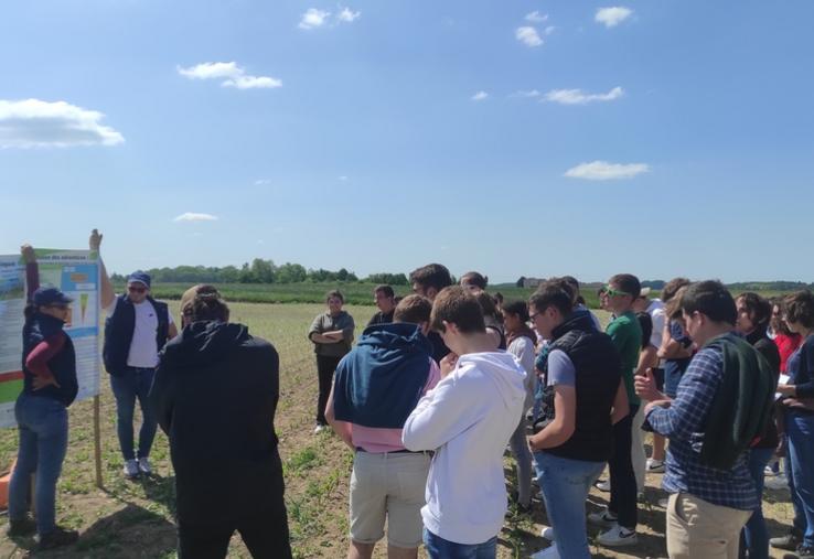 Jeudi 25 mai, à Amilly. Une visite de l'exploitation du lycée du Chesnoy a permis de constater les premiers résultats d'essais et des rotations de cultures.