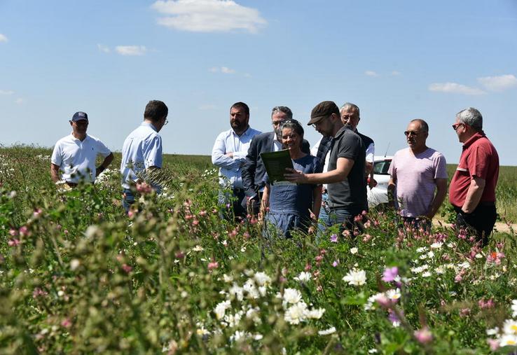 Mercredi 31 mai, à Épieds-en-Beauce. La présentation de l'association Terres et territoires s'est poursuivie dans une parcelle constituée du mélange Pollifauniflor. 