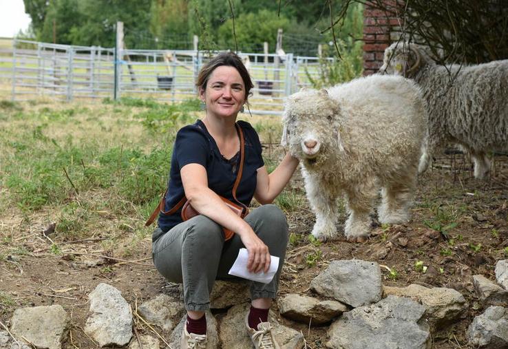 La ferme des P'tits Bergers propose la laine mohair sous le label Mohair de nos chèvres.