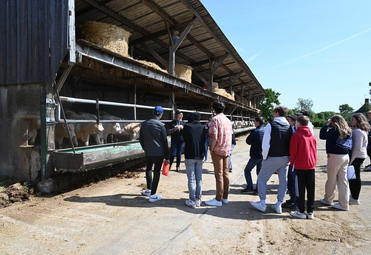 Une classe du lycée agricole de Montoire a pu visiter un élevage bovin allaitant dans le cadre des rencontres Made in viande organisées par Interbev. 