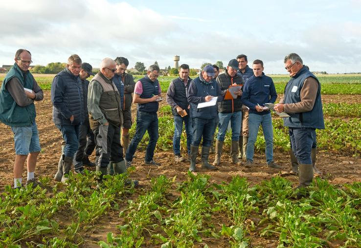 Mercredi 20 septembre, à Voves. Pierre Houdmon (à d.), responsable régional à l'ITB, a passé en revue toutes les variétés de betteraves en pointant leur capacité à résister à la jaunisse.