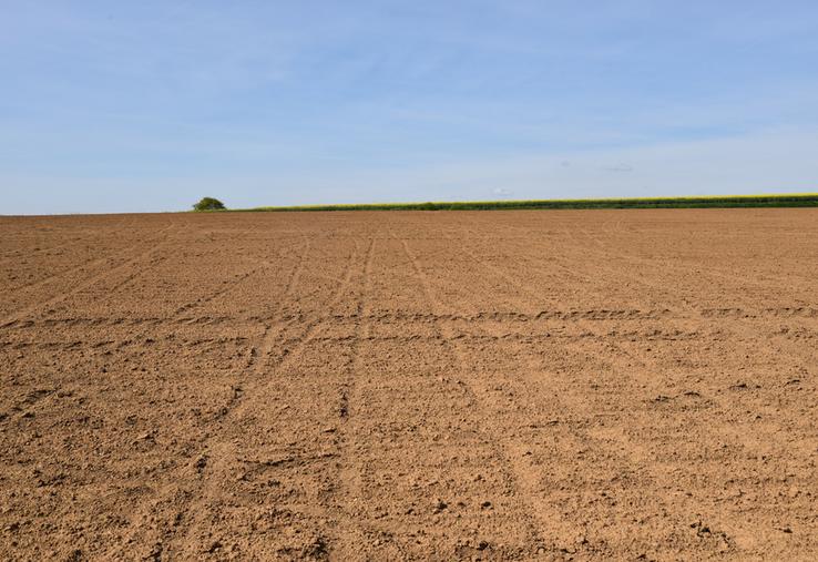 Imposer 4 % de surfaces agricoles improductives en Europe est un non-sens.