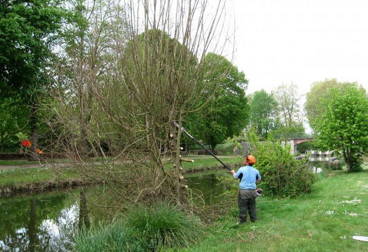 Les zones humides : un enjeu majeur.