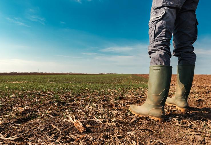 Agriculteur en bout de champ.