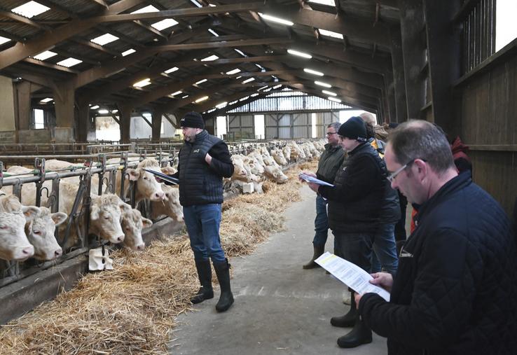 Mardi 5 décembre, à Couëtron-au-Perche. Le Syndicat des éleveurs de bovins de race charolaise de Sarthe (Sebrac 72) a organisé une journée génétique en Loir-et-Cher.