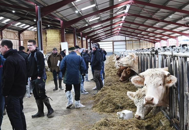 Jeudi 22 février, à Muides-sur-Loire. Plus de 200 éleveurs de la région Centre-Val de Loire s'étaient donné rendez-vous au Gaec Vaucher pour la journée régionale bovins allaitants.