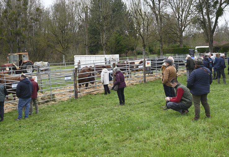 Lundi 18 mars, à Pruniers-en-Sologne. La SDA 41 a organisé la troisième édition de la foire aux bestiaux.