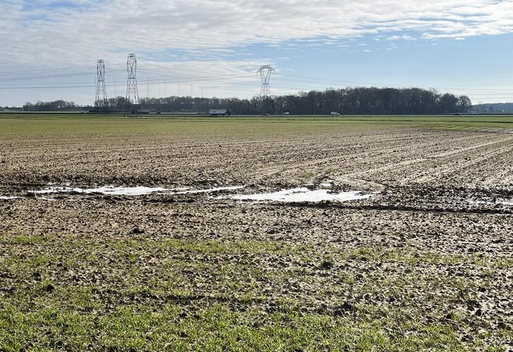 En sud-Essonne, comme dans toute l'Île-de-France, les fortes pluies incessantes ont impacté les cultures et les semis. (mars 2024)