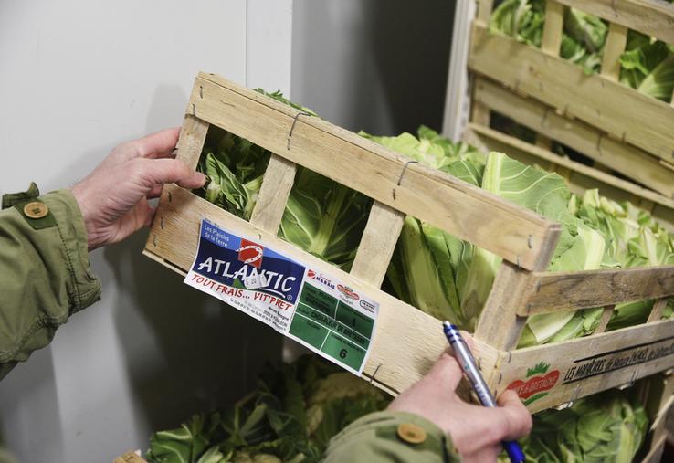 Salades, pommes, carottes, champignons, poireaux, kiwis… Après une dizaine de produits contrôlés, le Auchan Drive réalise un sans-faute. 