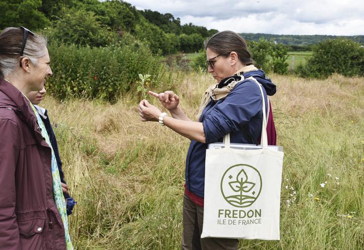 Cécile Ahouandjinou (Fredon Île-de-France) détaille les caractéristiques de l'ambroisie qui la distingue des plantes vivaces peuplant champs et parcelles.