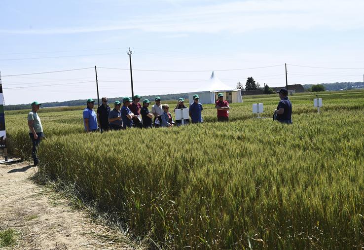 Vendredi 7 juin, à Herbault. Plus d'une centaine d'agriculteurs étaient présents pour la rencontre agronomique d'Axéréal où les légumineuses étaient au centre des ateliers. 